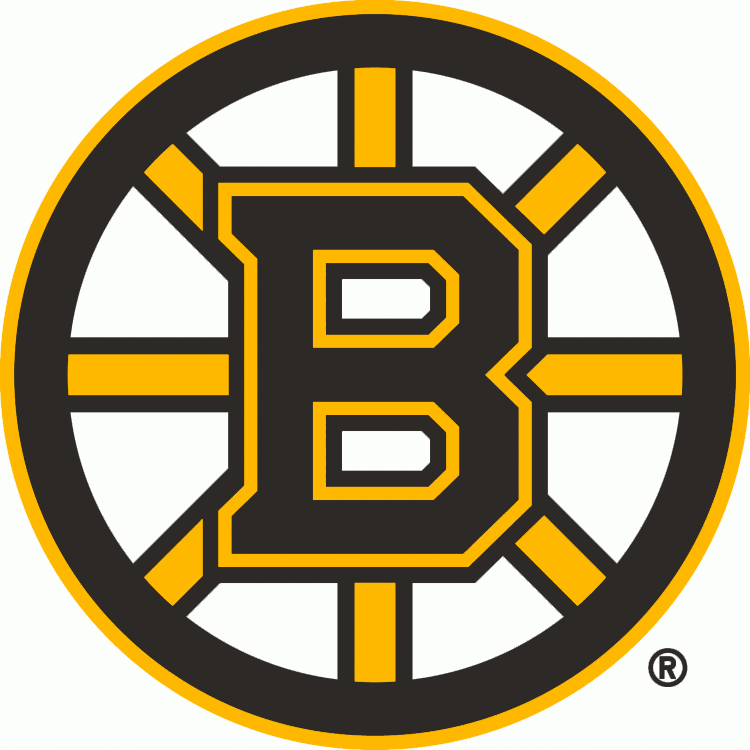 Boston Bruins 2007-Pres Primary Logo DIY iron on transfer (heat transfer)